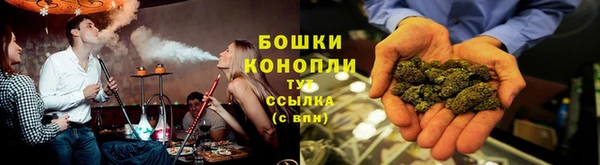PSILOCYBIN Алексин