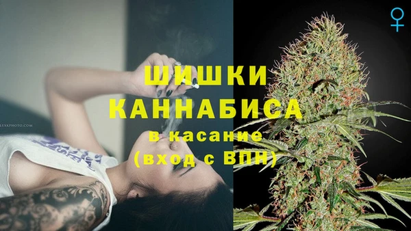 бошки Алексеевка